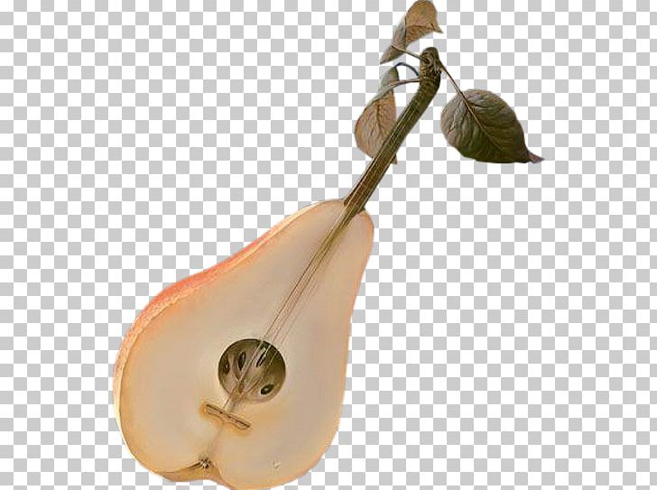 Musical Instruments Art Pipa PNG, Clipart, Art, Bayan, Biwa, Download, Grand Piano Free PNG Download