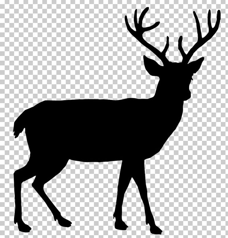 White-tailed Deer Reindeer Red Deer Elk PNG, Clipart, Antler, Black And White, Deer, Drawing, Elk Free PNG Download