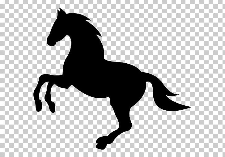 Wild Horse Dog Equestrian PNG, Clipart, Animals, Black, Colt, English Riding, Equestrian Sport Free PNG Download