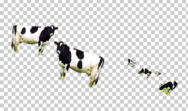 Dairy Cattle Goat Livestock PNG, Clipart, Animal, Animals, Black, Black And White, Cartoon Free PNG Download