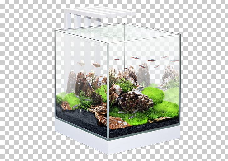 Siamese Fighting Fish Aquarium Lighting Goldfish Aquarium Filters PNG, Clipart, Aquarium, Aquarium Decor, Aquarium Filters, Aquarium Lighting, Fish Free PNG Download