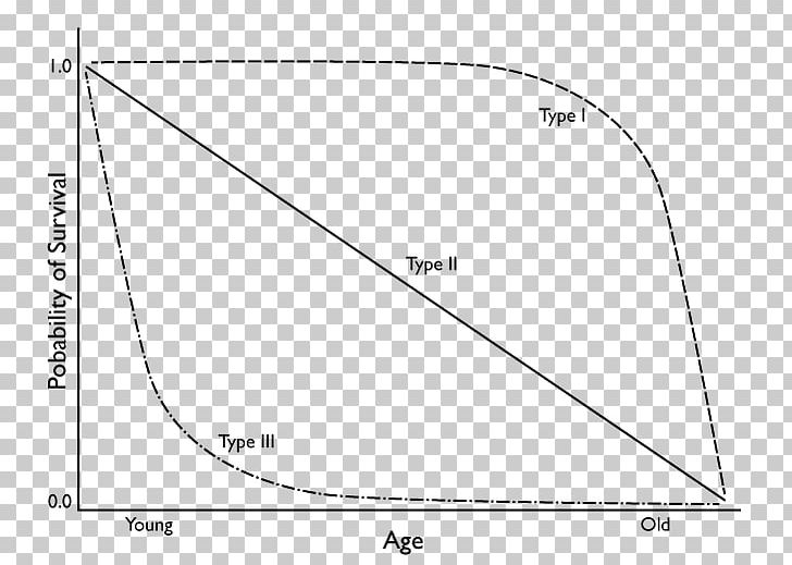 Survivorship Curve Chart Geometry Statistics PNG, Clipart, Angle, Area, Black And White, Chart, Circle Free PNG Download