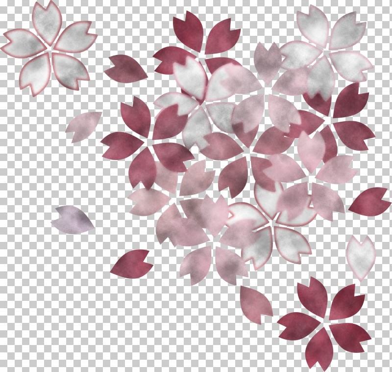 Cherry Flower Floral Flower PNG, Clipart, Cherry Flower, Floral, Flower, Leaf, Petal Free PNG Download