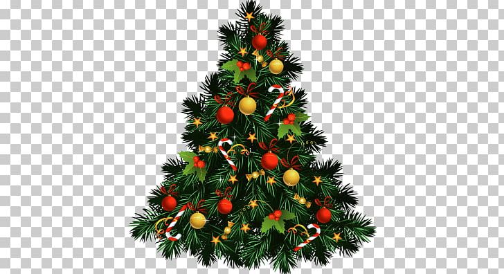 Christmas PNG, Clipart, B 2 B, Christmas, Christmas Decoration, Christmas Ornament, Christmas Tree Free PNG Download