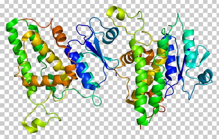 CLIC1 Protein Chloride Channel Innexin Gene PNG, Clipart, 1 K, Binding Site, Body Jewelry, Chloride, Chloride Channel Free PNG Download