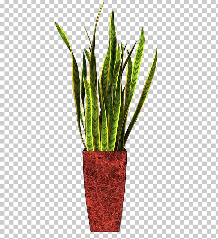 Flowerpot Houseplant Ornamental Plant PNG, Clipart, Bitki, Cachepot, Cicek, Flower, Flowerpot Free PNG Download