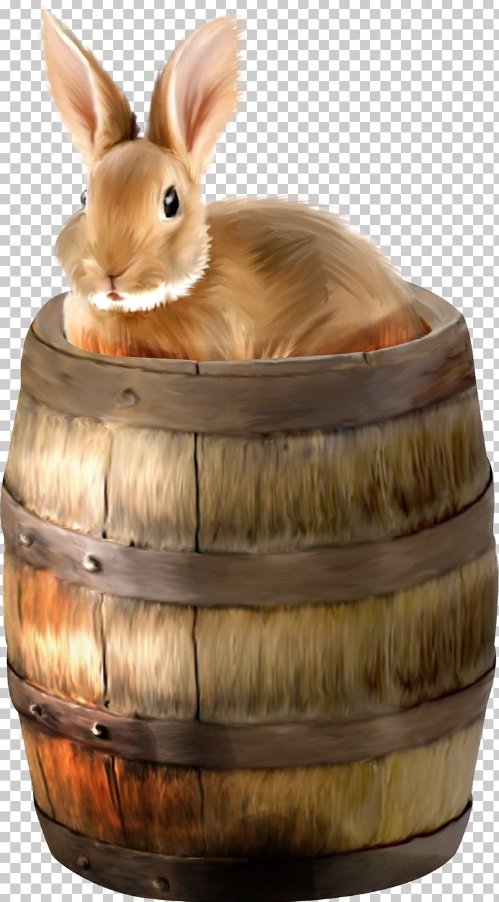 Hare Domestic Rabbit PNG, Clipart, Animal, Animals, Domestic Rabbit, Encapsulated Postscript, Hare Free PNG Download