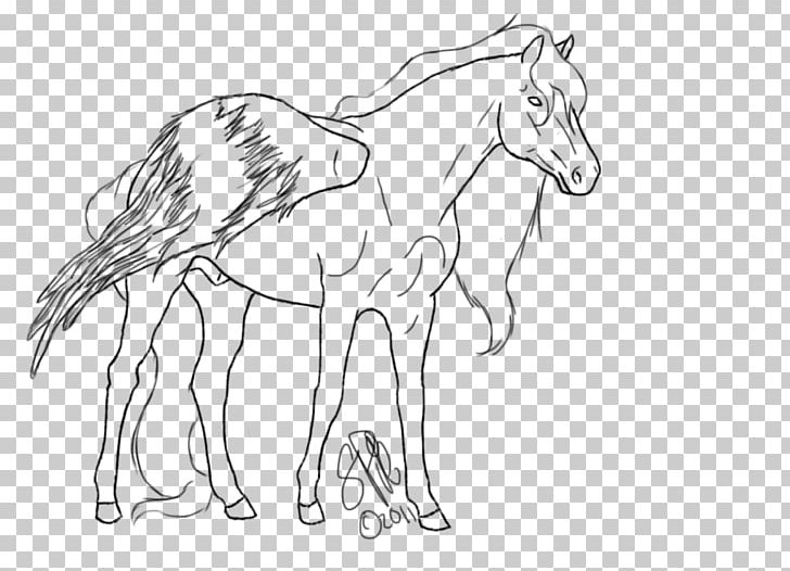 Mane Mustang /m/02csf Halter Drawing PNG, Clipart,  Free PNG Download