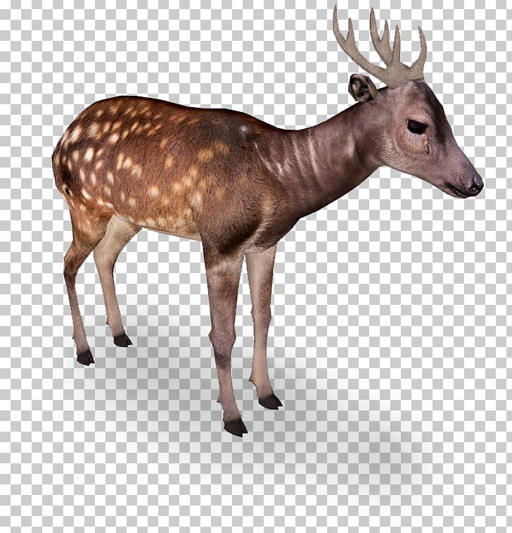 Zoo Tycoon 2 Reindeer Elk White-tailed Deer PNG, Clipart, Animal, Antelope, Antler, Cartoon, Choeropsis Free PNG Download