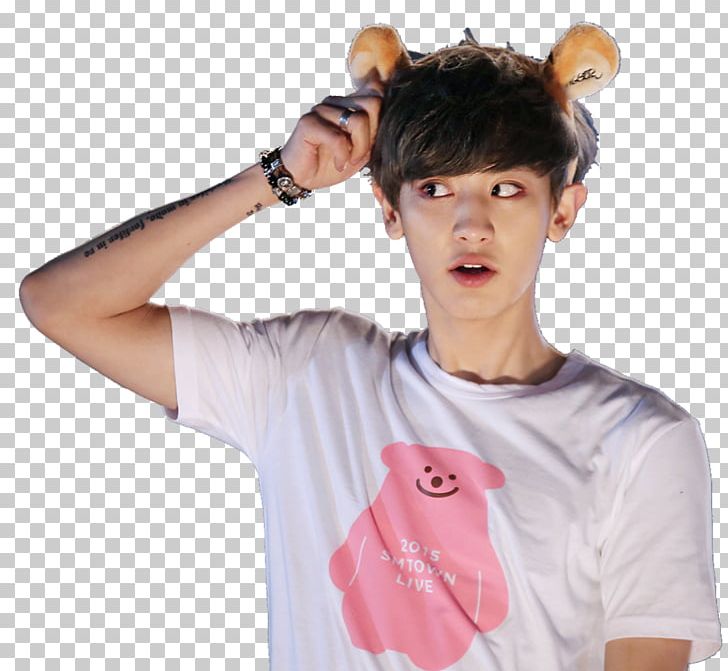 Chanyeol EXO Next Door Sticker SMTOWN Live World Tour IV PNG, Clipart, Advertising, Arm, Art, Chanyeol, Decal Free PNG Download