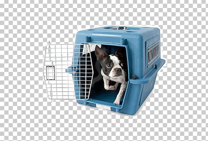 Dog Crate Cat Kennel Pet PNG, Clipart, Animal, Animals, Animal Shelter, Boston Terrier, Cage Free PNG Download