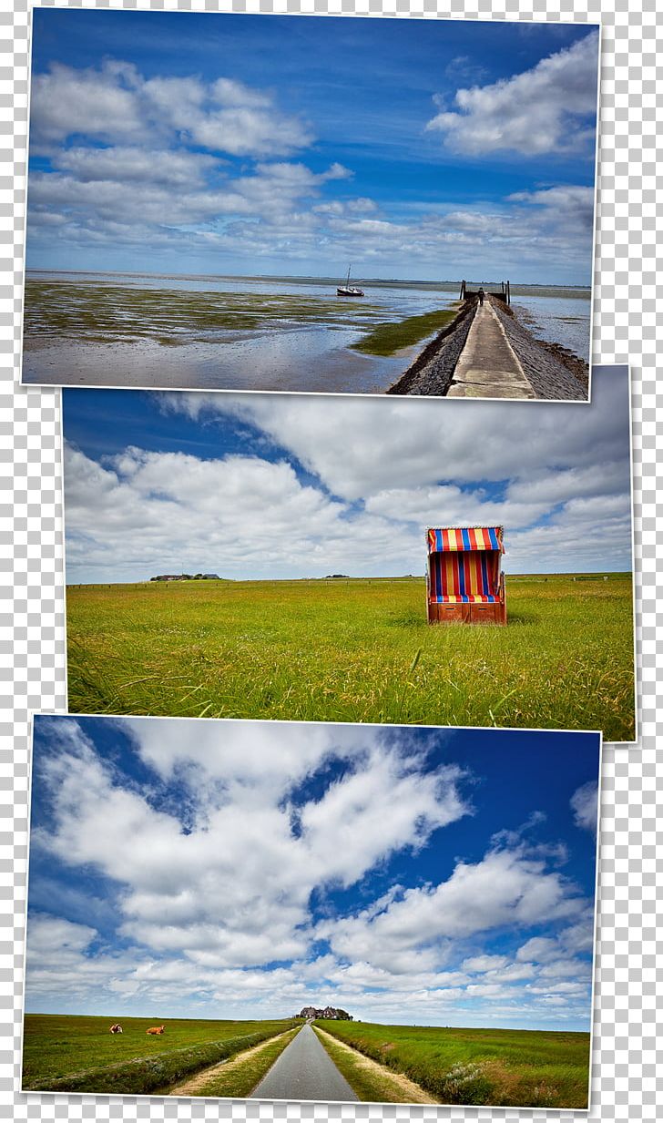 Hooge Wadden Sea Amrum Halligen Sylt PNG, Clipart, Cloud, Computer Wallpaper, Daytime, Desktop Wallpaper, Ecoregion Free PNG Download