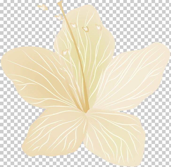 Petal Leaf PNG, Clipart, Clipart, Clip Art, Flower, Flowers, Image Free PNG Download