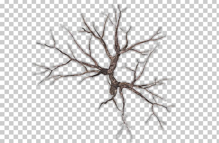 Twig Tree Snag Branch Wood PNG, Clipart, And One, Black And White, Branch, Digital Media, I Need Free PNG Download