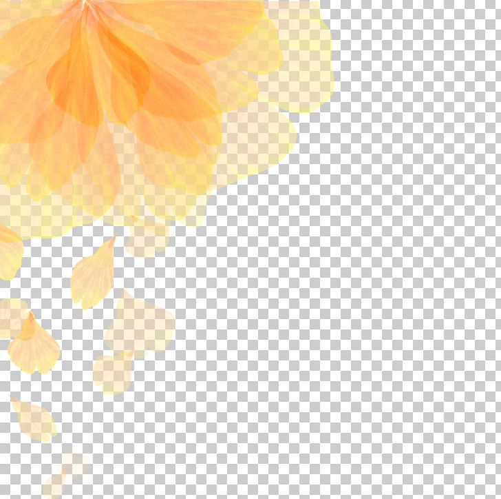 Euclidean Flower Color Gradient PNG, Clipart, Background, Beautiful, Blooming, Color, Computer Wallpaper Free PNG Download