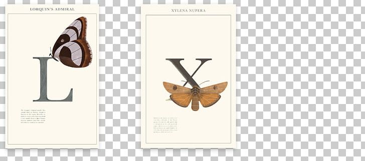 Graphic Designer Poster Paper PNG, Clipart, Angle, Art, Biological Illustration, Brand, Butterfly Free PNG Download