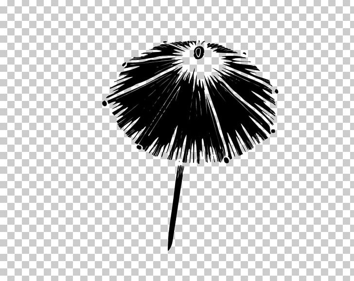 Umbrella Euclidean PNG, Clipart, Auringonvarjo, Beach Umbrella, Black, Black And White, Black Umbrella Free PNG Download