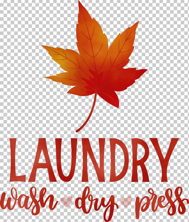 Leaf Flower Logo Font Maple Leaf / M PNG, Clipart, Biology, Dry, Flower, Laundry, Leaf Free PNG Download