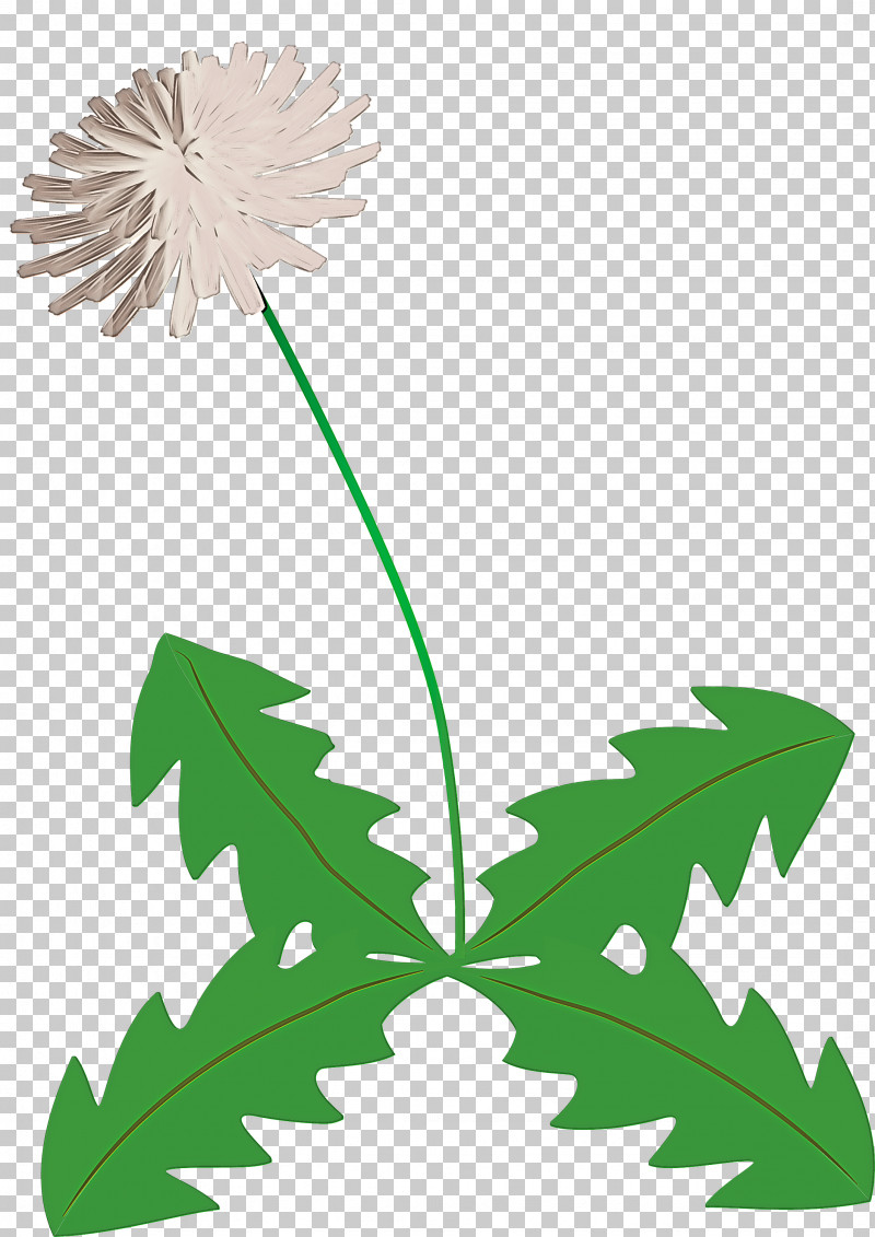 Dandelion Flower PNG, Clipart, Amaryllidaceae, Chamomile, Common Dandelion, Dandelion, Dandelion Background Free PNG Download