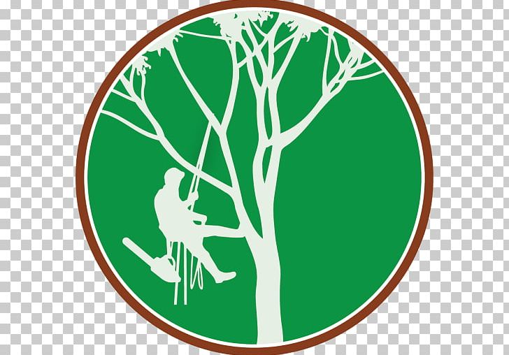 Certified Arborist Tree Climbing Arboriculture PNG, Clipart, Arboriculture, Arborist, Area, Branch, Certified Arborist Free PNG Download