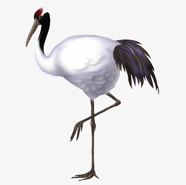 Red-crowned Crane PNG, Clipart, Crane, Crane Clipart, Crane Clipart, Creative, Red Crowned Free PNG Download