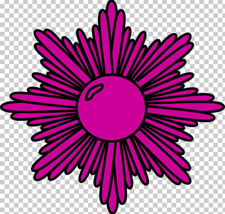 Starburst Women PNG, Clipart, Black And White, Circle, Clip Art Women, Computer Icons, Cut Flowers Free PNG Download
