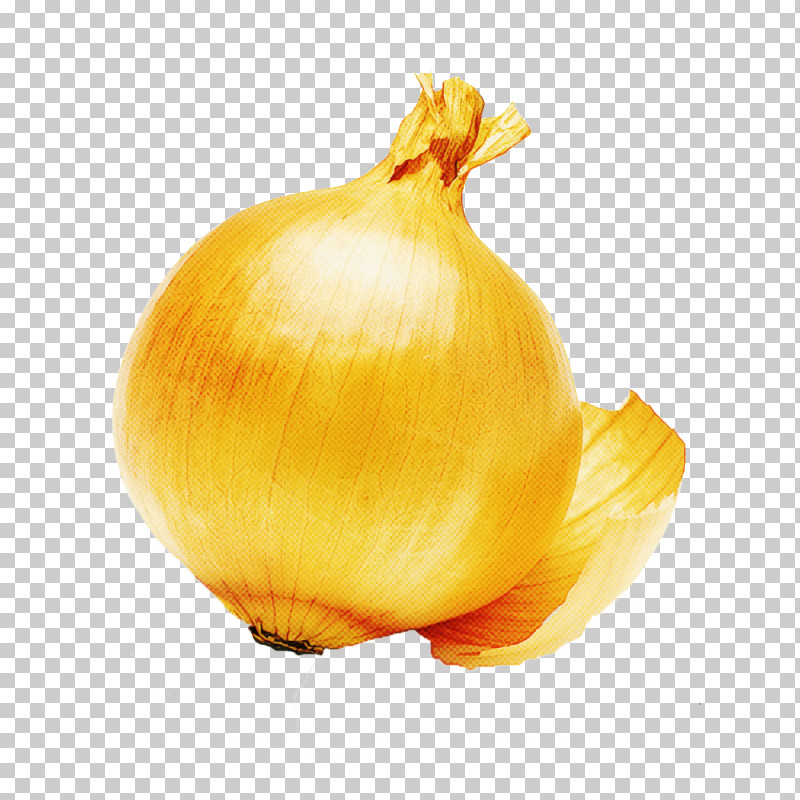 Yellow Onion Still Life Photography Onion Still Life Yellow PNG, Clipart, Onion, Still Life, Still Life Photography, Yellow, Yellow Onion Free PNG Download