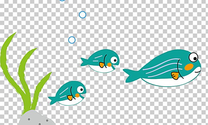 RGB Color Model Gratis PNG, Clipart, Aquatic, Area, Beak, Bird, Bubbles Free PNG Download