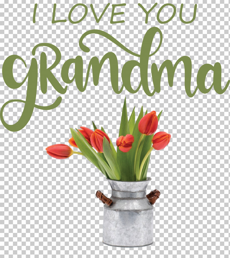 Grandmothers Day Grandma Grandma Day PNG, Clipart, Biology, Cut Flowers, Floral Design, Flower, Flowerpot Free PNG Download