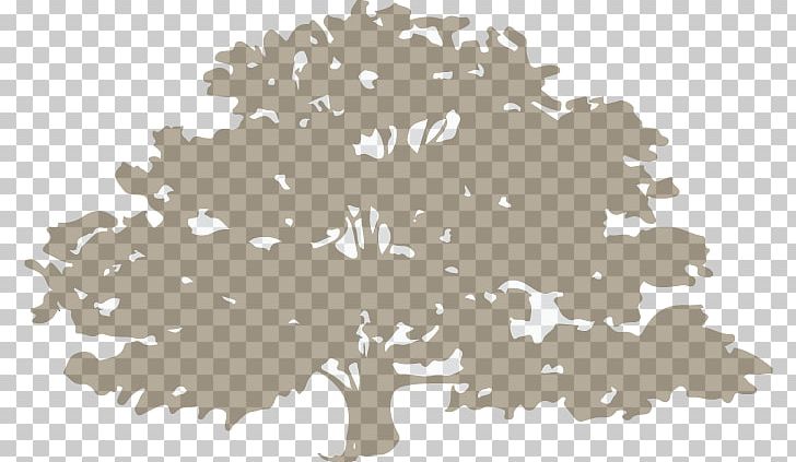 Tree Care International Society Of Arboriculture Certified Arborist PNG, Clipart, Arboriculture, Arborist, Branch, Certified Arborist, Company Free PNG Download