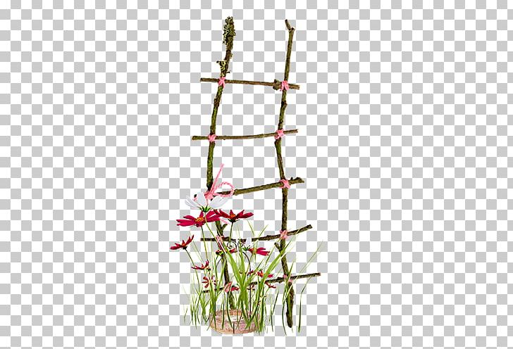 Ladder PNG, Clipart, Albom, Branch, Creative, Download, Flora Free PNG Download