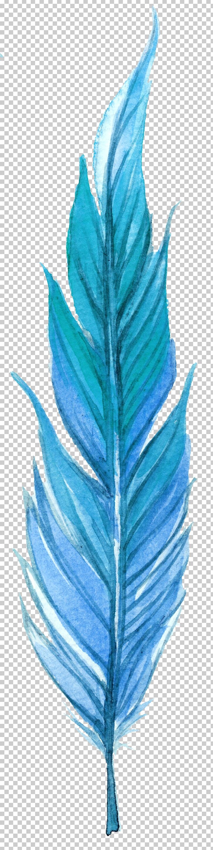 Leaf Feather Orange Plumage PNG, Clipart, Animals, Blue, Blue Background, Blue Flower, Citrus Xd7 Sinensis Free PNG Download