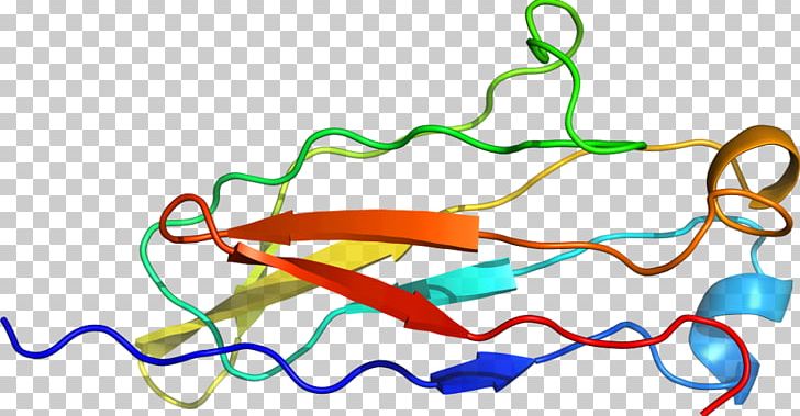 Line Point PNG, Clipart, Area, Art, Artwork, Line, Organism Free PNG Download