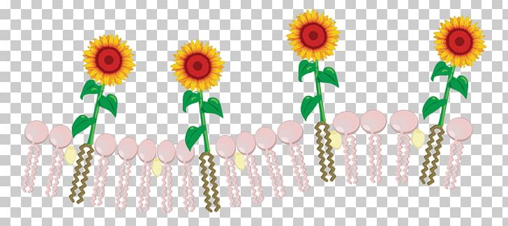 Common Sunflower Floral Design Cut Flowers Body Jewellery PNG, Clipart, Art, Body Jewellery, Body Jewelry, Common Sunflower, Cut Flowers Free PNG Download