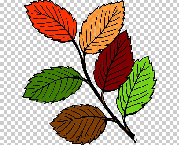 Leaf PNG, Clipart, Art, Artwork, Autumn, Autumn Leaf Color, Blog Free PNG Download