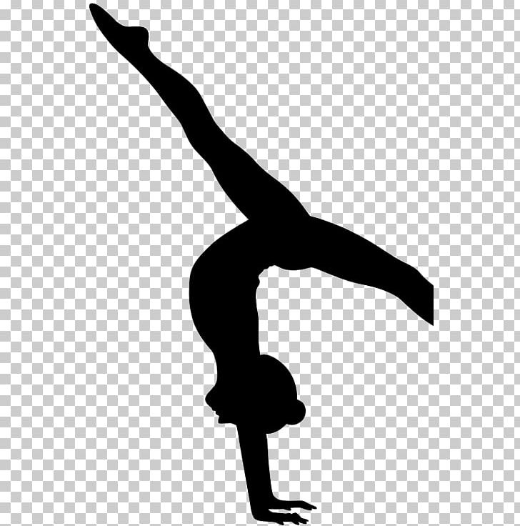 Metro Gymnastics Kokokahi Gymnastics Team Coach Cartwheel PNG, Clipart, Arm, Balance, Balance Beam, Black And White, Cheerleading Free PNG Download