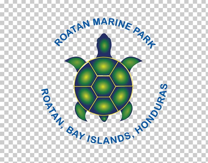 Roatán Marine Park T-shirt ROATAN MARINE PARK PNG, Clipart, Area, Brand, Circle, Computer Wallpaper, Coral Reef Free PNG Download