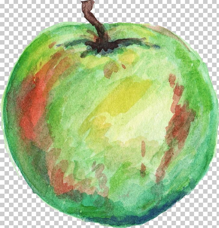 Apple Watercolor Painting Fuji PNG, Clipart, Apple, Christmas Ornament, Color, Food, Fruit Free PNG Download