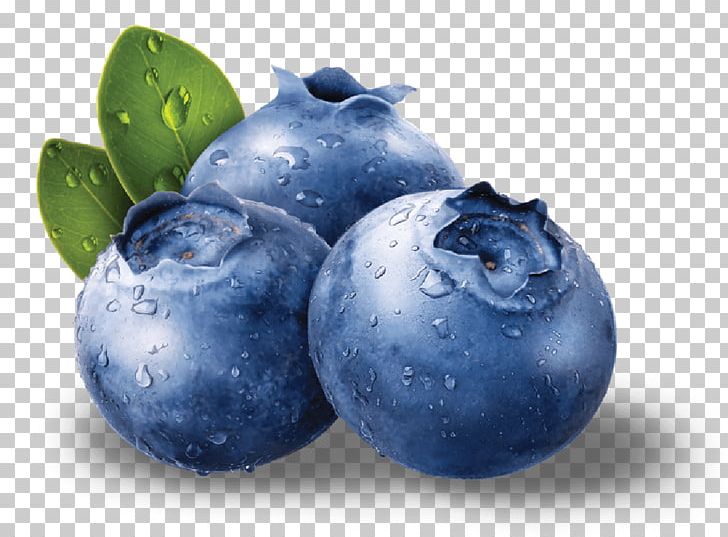 Blueberries PNG, Clipart, Blueberries Free PNG Download