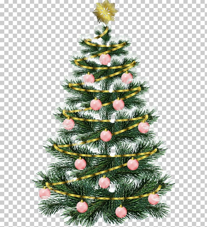 Christmas Tree Christmas Decoration Christmas Ornament Gift PNG, Clipart, Christmas, Christmas Decoration, Christmas Ornament, Christmas Tree, Conifer Free PNG Download