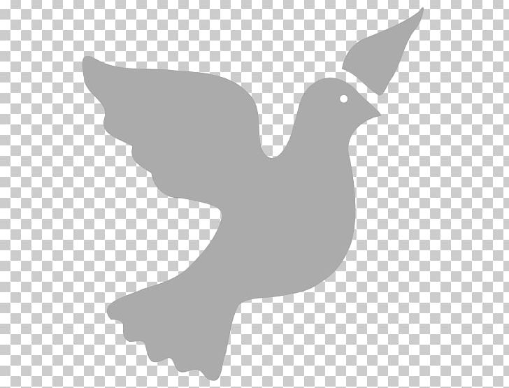Columbidae Doves As Symbols Peace Symbols PNG, Clipart, Angle, Bird, Christian Symbolism, Columbidae, Computer Icons Free PNG Download