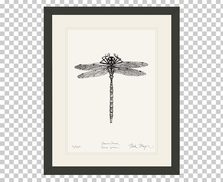 Dragonfly Nick Mayer Art PNG, Clipart, Artwork, Black And White, Boxedcom, California Twospot Octopus, Chambered Nautilus Free PNG Download
