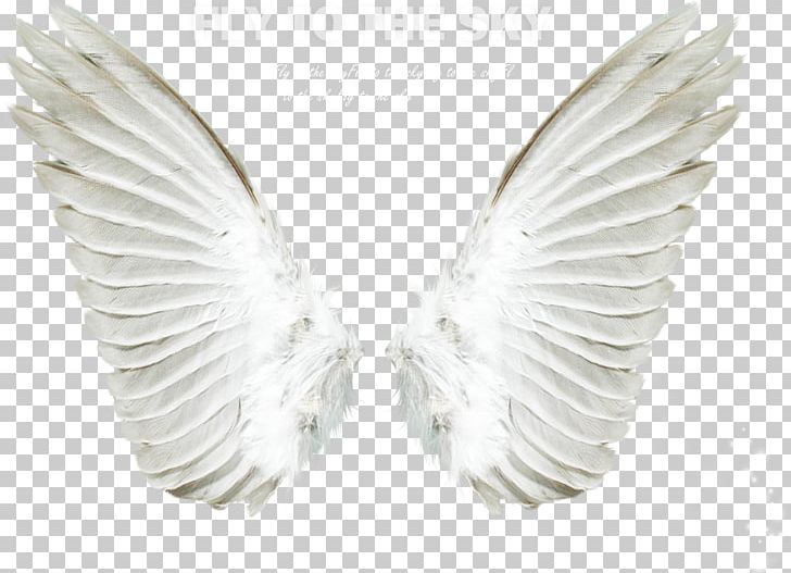 Angel PNG, Clipart, Angel, Angels, Angel Wing, Angel Wings, Art Angel Free PNG Download