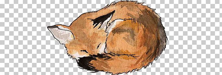 Arctic Fox Drawing PNG, Clipart, Animals, Arctic Fox, Art, Ask, Be Cool Free PNG Download