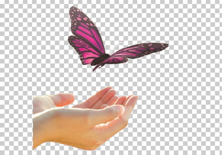 Brush-footed Butterflies Butterfly Nail Magenta PNG, Clipart, Brush Footed Butterfly, Butterfly, Finger, Hand, Insect Free PNG Download