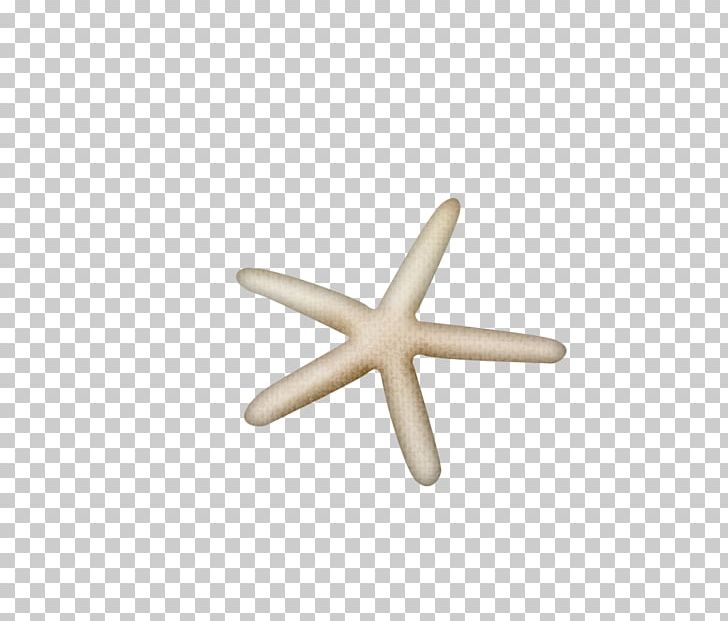 Starfish Beach Designer PNG, Clipart, Animals, Beach, Beige, Christmas Decoration, Decor Free PNG Download