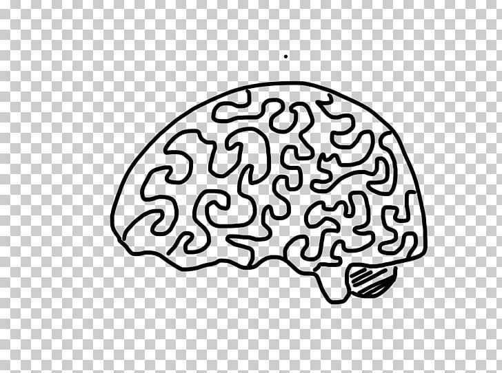 Brain Drawing Cerebrum Nervous System Cerebellum PNG, Clipart, Area, Art, Black And White, Central Nervous System, Cerebellum Free PNG Download