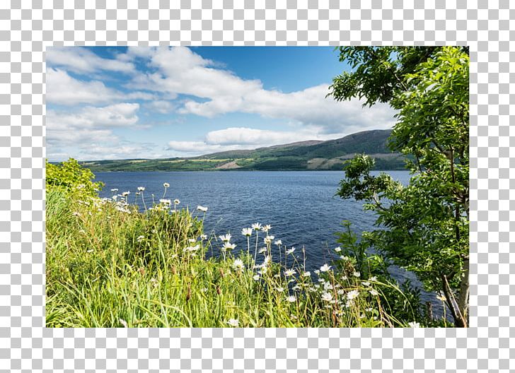 Fjord Loch Plant Community Nature Reserve PNG, Clipart, Bay, Coast, Community, Ecosystem, Fjord Free PNG Download
