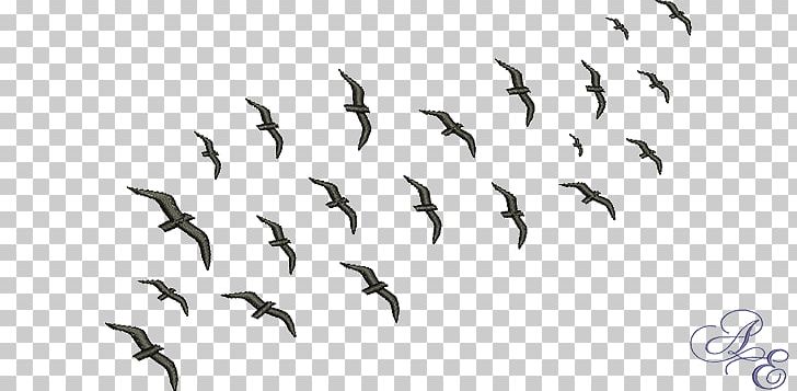 Flock Bird Migration Swarm Behaviour Animal Migration PNG, Clipart, Animal Migration, Beak, Bird, Bird Migration, Birds Free PNG Download