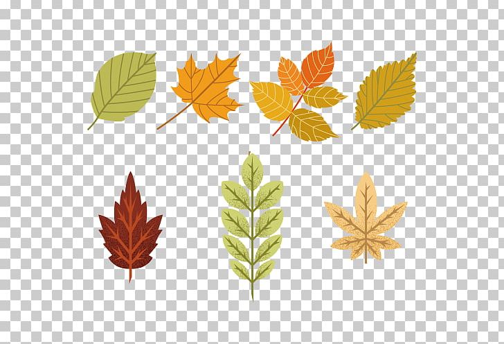 Maple Leaf Tree PNG, Clipart, Autumn, Autumn Leaf Color, Autumn Leaves, Banana Leaves, Cartoon Free PNG Download